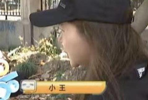 吃瓜网红被骗事件,揭秘网络诈骗背后的真相